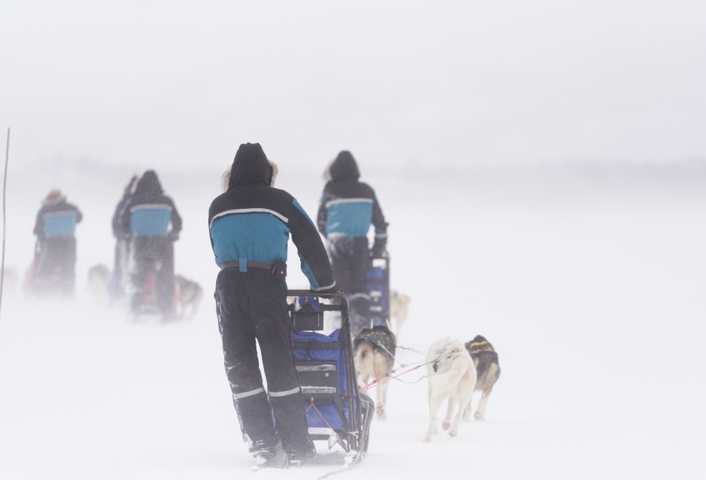 Start ins Husky Abenteuer